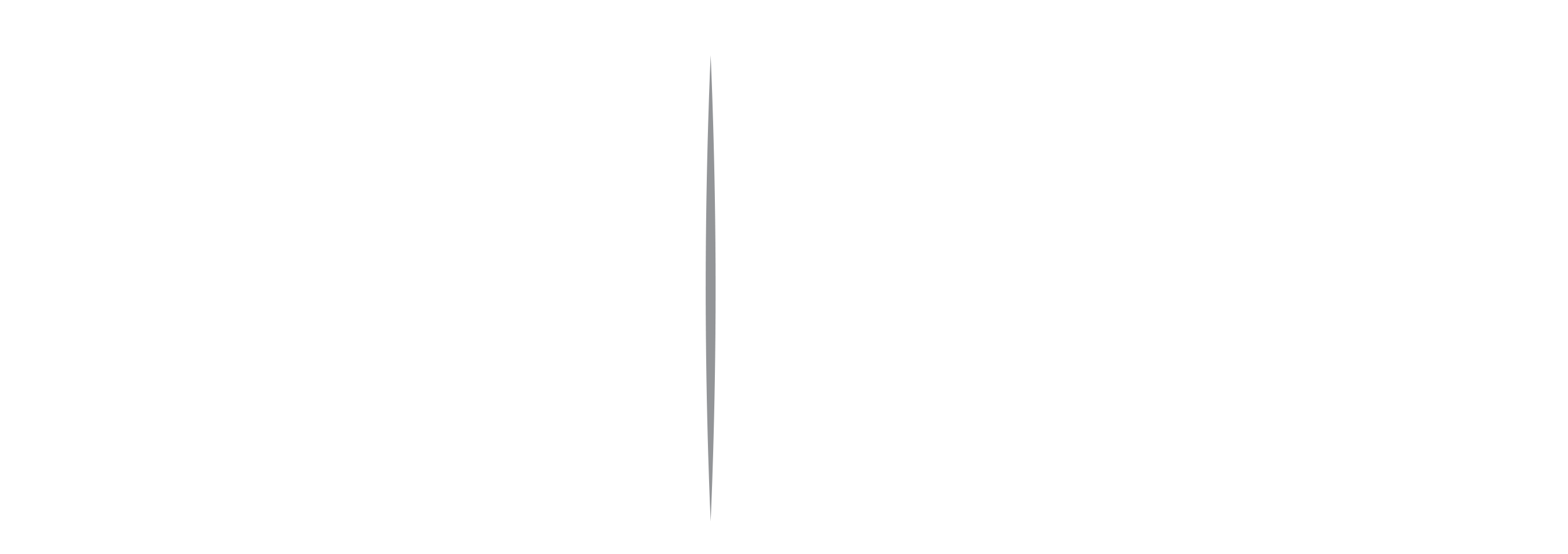Fozi Dwork & Modafferi, LLP Logo